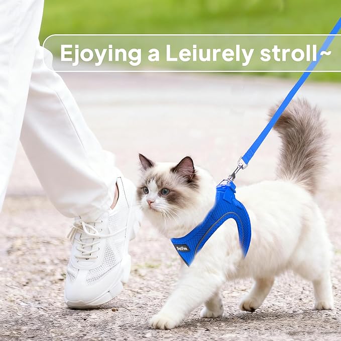 PetiFine Cat Harness and Leash Set,Escape Proof Kitten Harness Reflective,Soft Lightweight Puppy Harness for Walking and Travelling(XXS, Baby Blue)