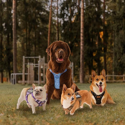 AUNZO Dog Harness for X-Small Dog Breed, Light Pet Vest Harness with 2 Leash Clips and 3 Buckles, Easy to Wear, Adjustable Reflective Soft Padded, Boston Terrier, Beagle, Poodles, Orange XS