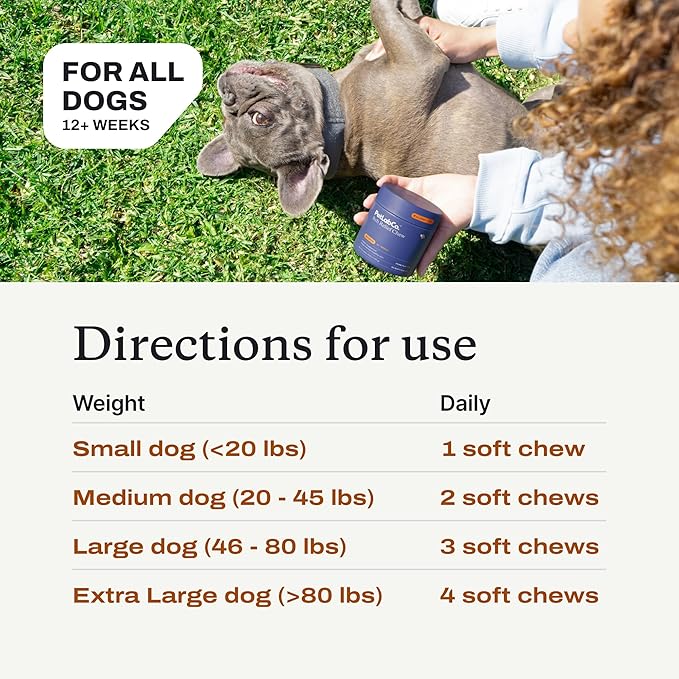 PetLab Co. Itch Relief Chews - Support for Dry, Occasionally Itchy Skin & Coats - Formulated with Turmeric, Omega 3 & 6, Honey - Packaging May Vary