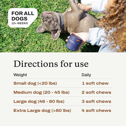 PetLab Co. Itch Relief Chews - Support for Dry, Occasionally Itchy Skin & Coats - Formulated with Turmeric, Omega 3 & 6, Honey - Packaging May Vary
