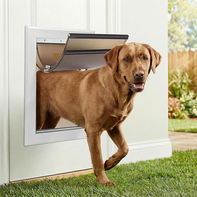 XL Aluminum Dog Door for Exterior Doors, Insulated Weatherproof Pet Door with Magnetic Auto Close, Blocks Cold & Hot Air, Heavy Duty Metal Frame Doggie Door for Dogs, Up to 220 lbs
