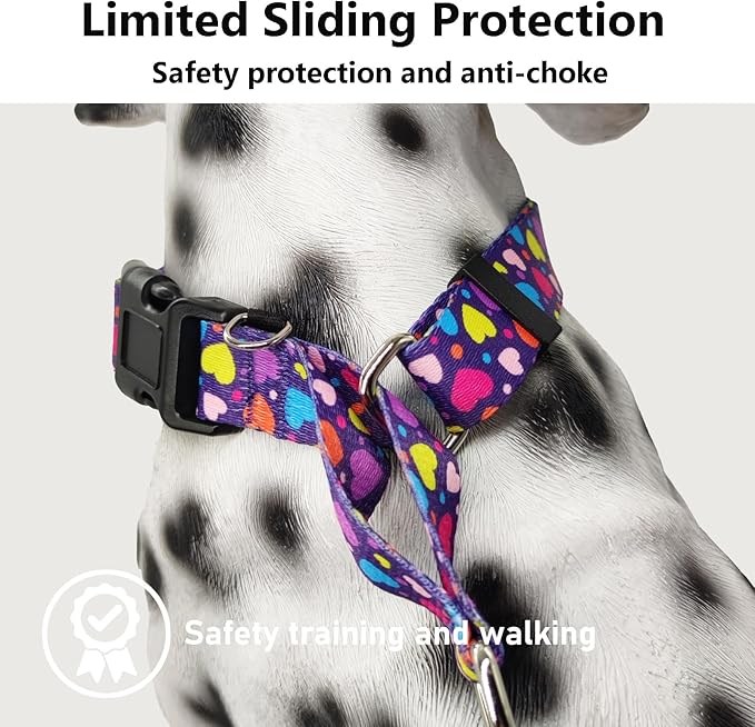 Valentines Martingale Collar for Dogs with Buckle No Pull Adjustable Nylon Limited Slip Training Dog Collars (Purple Love, Small)