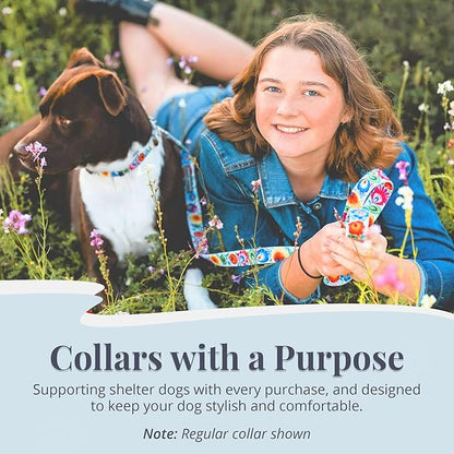 Lucky Love Dog Martingale Dog Collar - Adjustable, No-Slip, Durable, & Soft Webbing Collar for Male and Female Dogs Ideal for Training & Walking - Ladybird, Medium