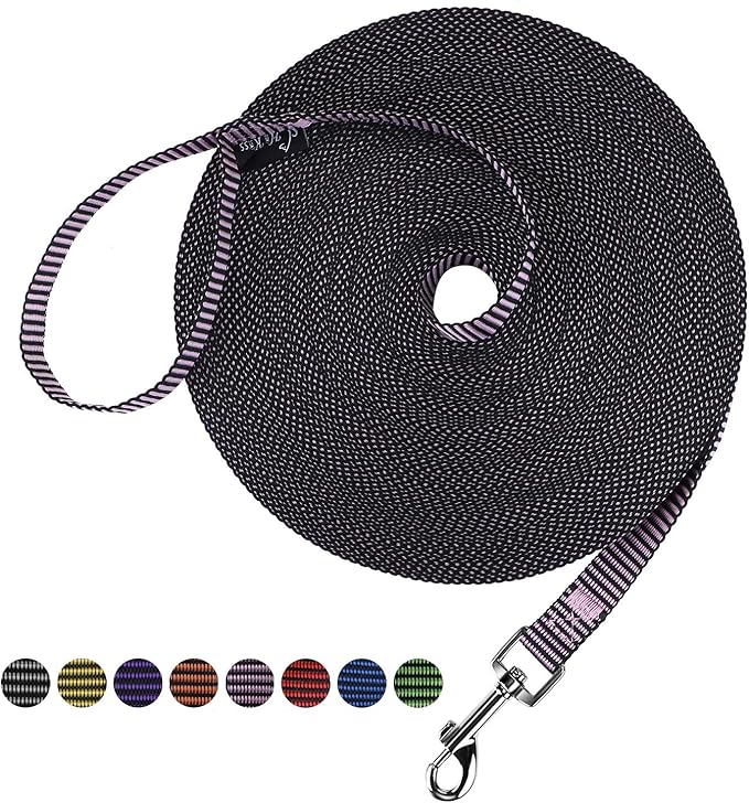 Hi Kiss Dog/Puppy Obedience Recall Training Agility Lead - 15ft 20ft 30ft 50ft 100ft Training Leash - Great for Training, Play, Camping, or Backyard(100ft,BL+PK)