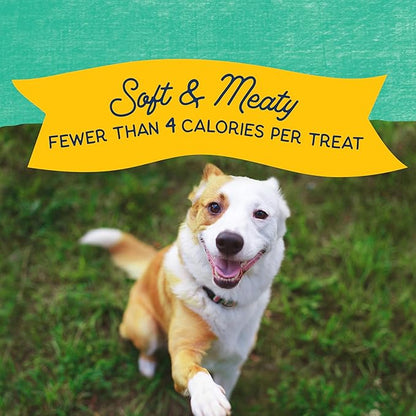 Natural Balance Limited Ingredient Mini-Rewards Chicken Grain-Free, Training Treats for Dogs | 5.3-oz. Canister (Pack of 2)