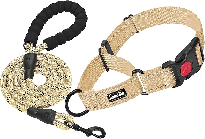 haapaw Martingale Dog Collar with Quick Release Buckle Reflective Dog Training Collars for Small Medium Large Dogs