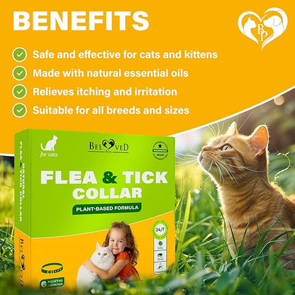 Natural Flea & Tick Collar for Cats - 6 Months Control of Best Prevention & Safe Treatment - Anti Fleas and Ticks Essential Oil Repellent (1 Pack)