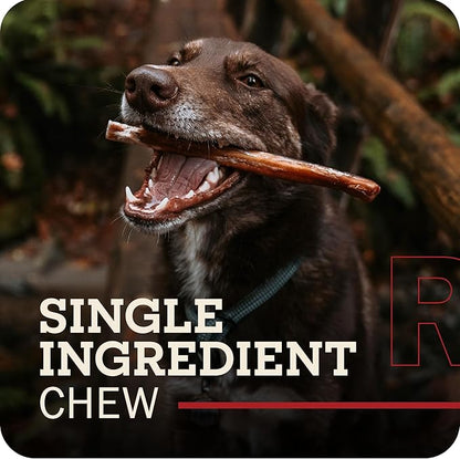 Redbarn 12" Bully Sticks for Dogs, Wrapped & Tagged Pet Chew Treat, Pack of 35