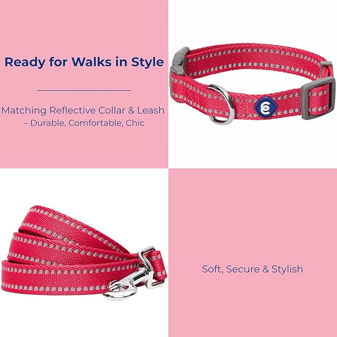 Blueberry Pet Essentials Reflective Dog Collar & Leash Set, Adjustable for Small Dogs | Safe Walking Gear for Pet Parents, Puppy Training & Daily Use SmallDogs, Very Berry