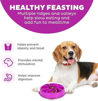 Outward Hound Fun Feeder Slo Bowl – Medium 2‑Cup Capacity, Slow Feeding, Small to Medium Dogs & Cats, Non-Slip, Purple, Flower Pattern