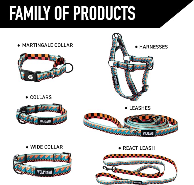 Wolfgang Heavy Duty Dog Leash, Pull-Tested for Walking & Training, BuenaOnda Print, Small