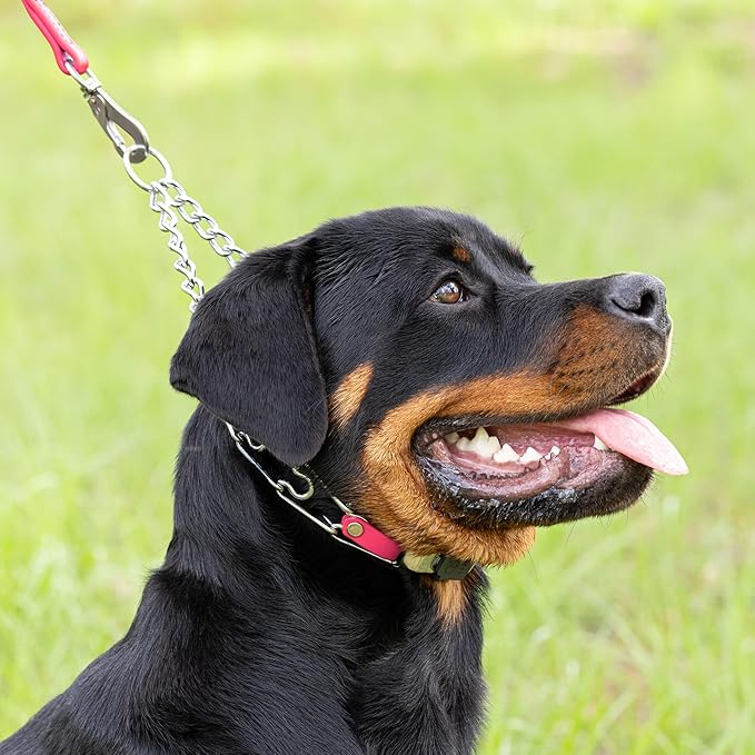 Herm Sprenger Chrome Plated Steel Dog Collar with Quick Release ClicLock Buckle O-Ring Biothane Insert Training Collar Made in Germany (Passionfruit Pink, 22in x 3.0mm(Neck Size up to 18-19in))