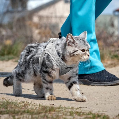 PetiFine Cat Harness and Leash Set,Escape Proof Kitten Harness Reflective,Soft Lightweight Puppy Harness for Walking and Travelling(XXS, Grey)