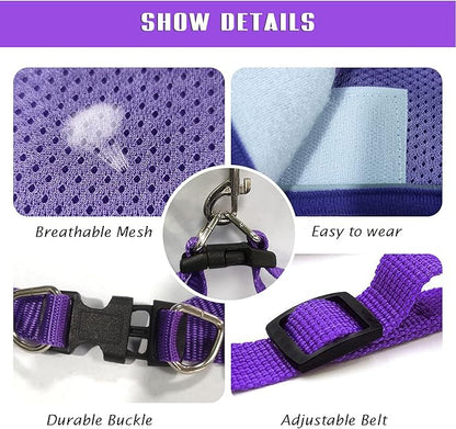 FEimaX Dog Harness and Leash Set, No-Pull Breathable Soft Mesh Puppy Vest Harness Reflective Adjustable Pet Harnesses for Small Medium Dogs and Cats - Outdoor Easy Control for Walking (XL, Purple)