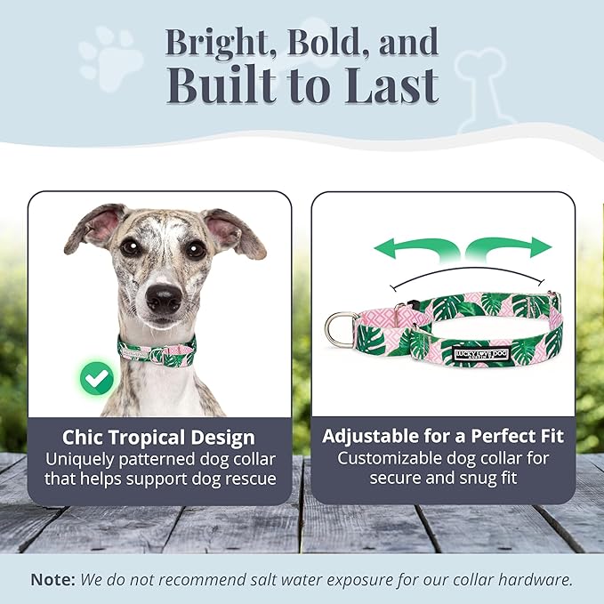 Lucky Love Dog Martingale Dog Collar & Leash - Adjustable, No-Slip, Durable, Comfortable, Soft Webbing, & Stylish Patterned Collar & Leash Set for Male and Female Dogs - Laguna Mart Combo, Medium