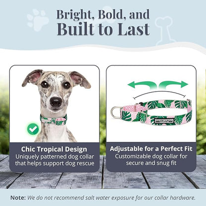 Lucky Love Dog Martingale Dog Collar & Leash - Adjustable, No-Slip, Durable, Comfortable, Soft Webbing, & Stylish Patterned Collar & Leash Set for Male and Female Dogs - Laguna Mart Combo, Medium