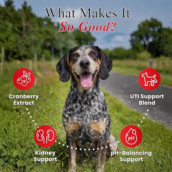 Cranberry Chews for Dogs – UTI Support & Bladder Support – Cranberry Supplement for Dogs – Dog Kidney Support – Urinary Tract & Bladder Control (30 Soft Chews)