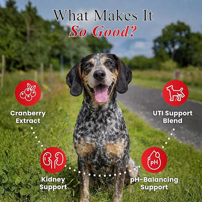 Cranberry Chews for Dogs – UTI Support & Bladder Support – Cranberry Supplement for Dogs – Dog Kidney Support – Urinary Tract & Bladder Control (30 Soft Chews)