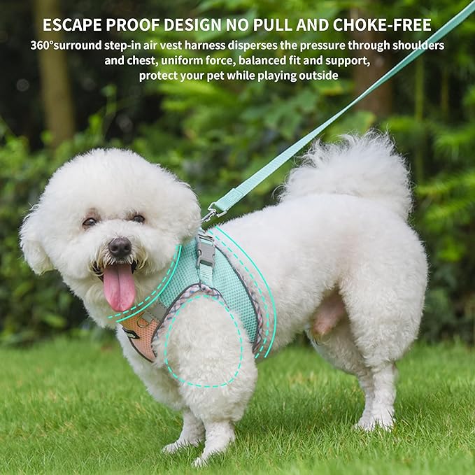 AIITLE XXS Dog Harness & Leash Set - Breathable Reflective No-Choke Small Dog Harness for Teacup Puppies, Indoor/Outdoor Use - Boston Terrier, Maltese, Chihuahua (Turquoise-Pink, XXS)