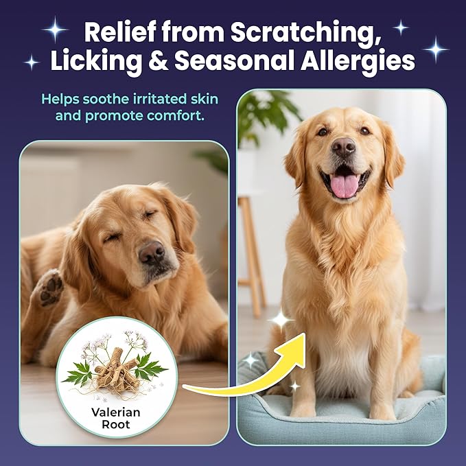 Mo & Haku Dog Allergy Relief Chews - 180 Soft Chews Immune Itch Support for Dogs Itchy Skin, Ears, Paw Licking, Seasonal Allergies - with Prebiotics & Probiotics, Colostrum & Salmon Oil