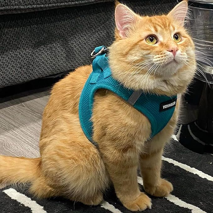 Best Pet Supplies Voyager Step-in Air Harness - All Weather Mesh, Reflective, No Pull Harness for Dogs, Cats - Secure with Hook & Loop Fastener, Buckle, Double D-Rings - Turquoise, XL