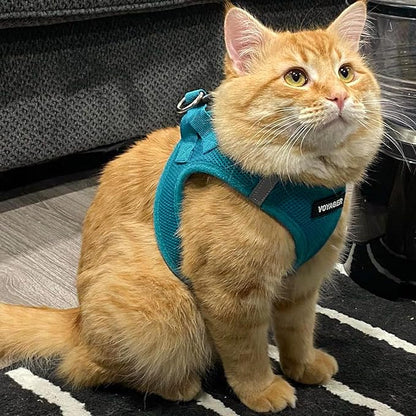 Best Pet Supplies Voyager Step-in Air Harness - All Weather Mesh, Reflective, No Pull Harness for Dogs, Cats - Secure with Hook & Loop Fastener, Buckle, Double D-Rings - Turquoise, XL