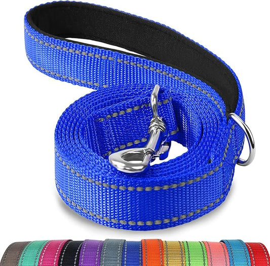 Joytale Dog Leash, 4 FT Double-Sided Reflective, Padded Handle Nylon Heavy Duty Leashes for Small Dogs Walking, Navy Blue