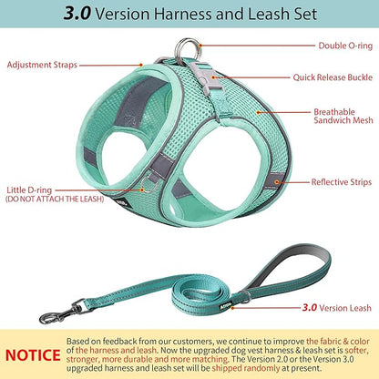 AIITLE Comfortable Dog Harness and Leash Set for Walking - Step in Vest Harness,Reflective Bands, Adjustable No Pull Puppy Essentials, for Small Dogs and House Cats Pure Turquoise XS