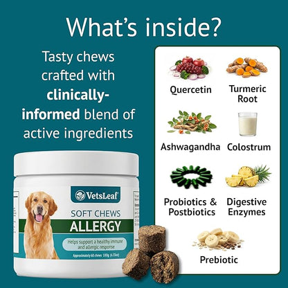 Allergy Relief Dog Chews – Quercetin, Turmeric, Ashwagandha, Probiotics & Colostrum – Seasonal Allergy, Immune & Digestive Support – for Itchy Skin & Hot Spots – All Breeds & Sizes