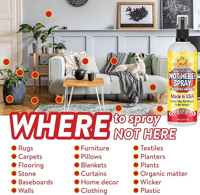 Bodhi Dog Not Here Spray - Trains Pets Where Not To Pee - Dog & Puppy Potty Training Spray to Stop Marking & Urinating Indoors or Outdoors - Safe for Furniture, Carpet & Floors - Made in USA (8 Fl Oz)