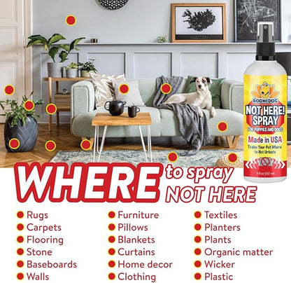 Bodhi Dog Not Here Spray - Trains Pets Where Not To Pee - Dog & Puppy Potty Training Spray to Stop Marking & Urinating Indoors or Outdoors - Safe for Furniture, Carpet & Floors - Made in USA (8 Fl Oz)