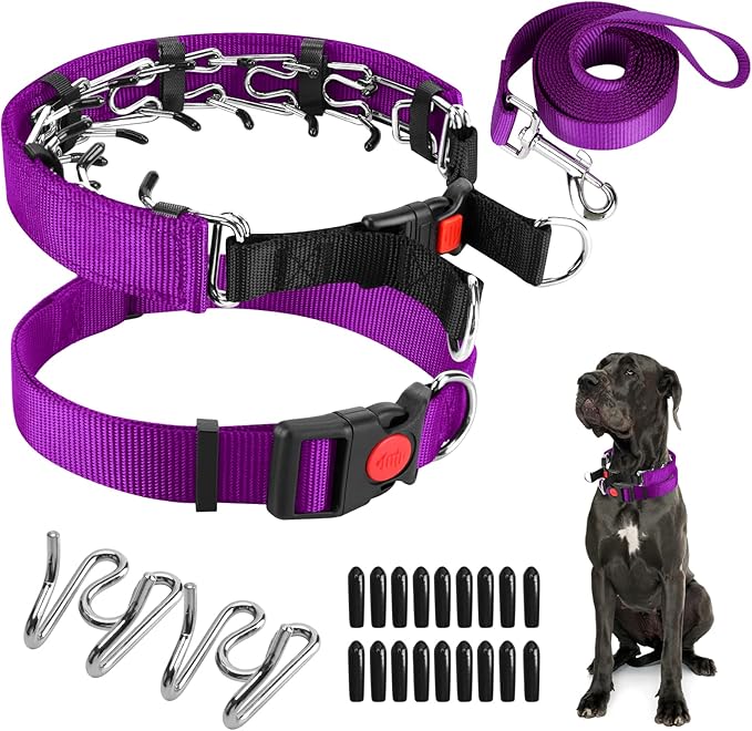 Prong Training Collar with Comfort Tips and Quick Release - Dog Choke Pinch Collar with Nylon Cover - Classic Collar and Leash for Small to Large Dogs