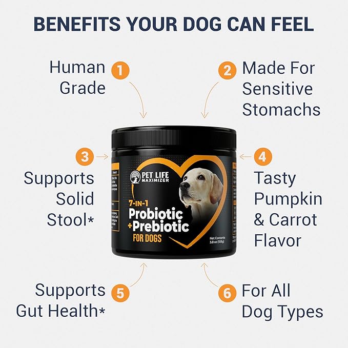 7-in-1 Probiotic + Prebiotic for Dogs. For Digestive Health, Yeast, Itchy Skin, Itchy Ears, Paw Licking. Dog Gut Health Probiotics Supplement 5 Billion CFU Multi-Strain Formula. Daily Powder Topper