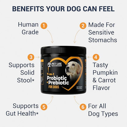 7-in-1 Probiotic + Prebiotic for Dogs. For Digestive Health, Yeast, Itchy Skin, Itchy Ears, Paw Licking. Dog Gut Health Probiotics Supplement 5 Billion CFU Multi-Strain Formula. Daily Powder Topper