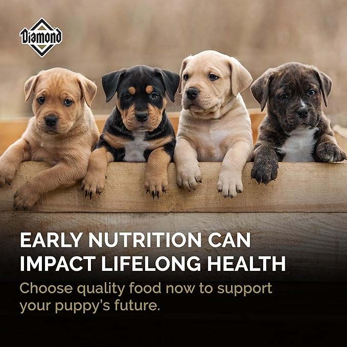Diamond Puppy Dry Dog Food 31/20 for All Life Stages Including Puppies and Pregnant and Nursing Adult Dogs 6lb Bag