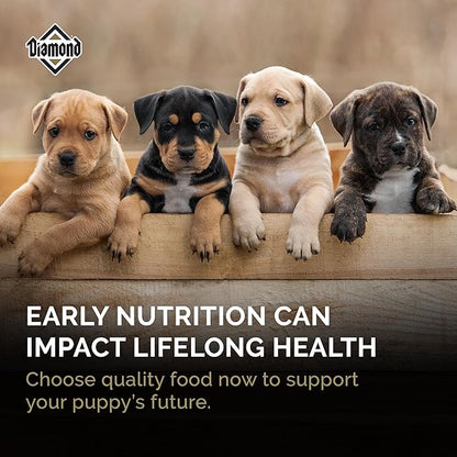 Diamond Puppy Dry Dog Food 31/20 for All Life Stages Including Puppies and Pregnant and Nursing Adult Dogs 6lb Bag