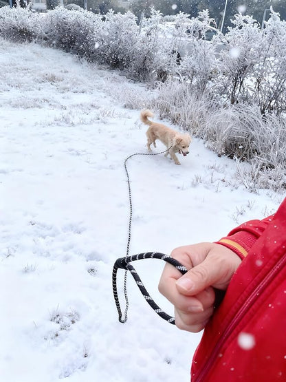Reflective Long Slip Lead Dog Leash Anti-Choking 12 FT/20 FT/30 FT/50 FT Rope Training Leash for Medium Dogs Small Puppy Pets (12ft, red)