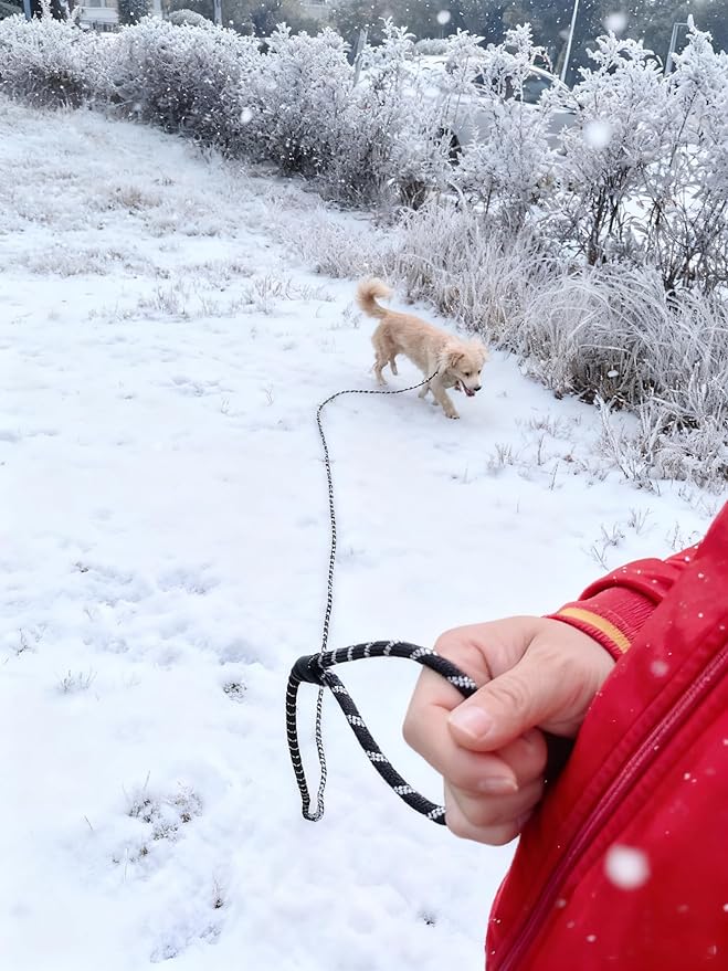 Long Slip Lead Dog Leash, 12/20/ 30/50 FT Reflective 1/3” Rope Training Leash Anti-Choking for Medium Dogs Small Puppy Pets (20ft, red)
