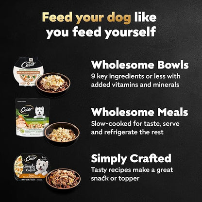 Cesar Wholesome Bowls Adult Wet Dog Food,Chicken,Sweet Potato & Green Beans Recipe,Wet Food for Dogs,3 Oz. Bowls,10 Count (Pack of 2)