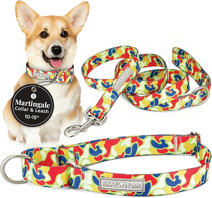 Lucky Love Dog Martingale Dog Collar & Leash - Adjustable, No-Slip, Durable, Comfortable, Soft Webbing, & Stylish Patterned Collar & Leash Set for Male and Female Dogs - Oscar Combo, Small