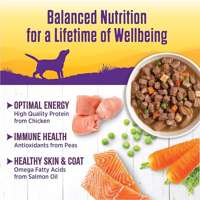 Wellness Complete Health Stew Adult Canned Wet Dog Food, Grain Free, Natural, Chicken Recipe, 12.5 oz, Pack of 12 Cans