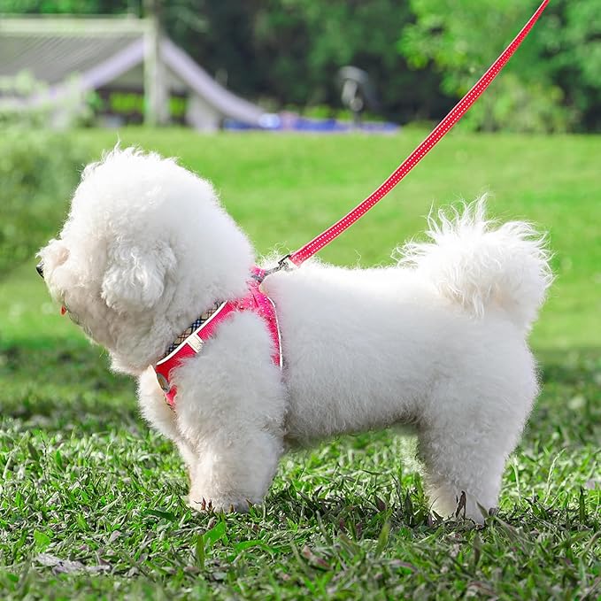 Hipubby Dog Harness Small Sized and Leash Set, No Pull Soft Mesh Puppy Vest, Reflective Breathable Lightweight Pet Harness, Harness for Small Medium Dogs and Cats - Rose Red/Khaki Trim, XXS