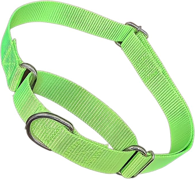 Dog Martingale Collar, Escape Proof Dog Choke Collar No Pull Cinch Dog Training Collars for Small Medium Large Breed Pet Dogs, Green L