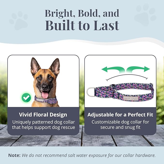 Lucky Love Dog Martingale Dog Collar & Leash - Adjustable, No-Slip, Durable, Comfortable, Soft Webbing, & Stylish Patterned Collar & Leash Set for Male and Female Dogs - Primrose Combo, Large