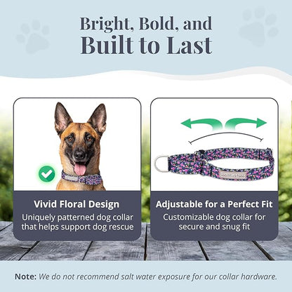Lucky Love Dog Martingale Dog Collar & Leash - Adjustable, No-Slip, Durable, Comfortable, Soft Webbing, & Stylish Patterned Collar & Leash Set for Male and Female Dogs - Primrose Combo, Large