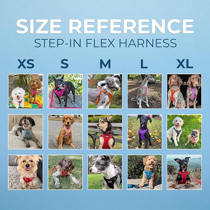 Best Pet Supplies Voyager Adjustable Step-in Flex Breathable Mesh Dog Harness for Small Medium Large Dogs (Red), S