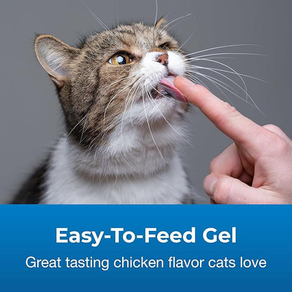 PetAg UT Solution Gel Supplement for Cats - 3.5 oz, Pack of 2 - Supports a Healthy Urinary Tract for Cats 6 Months and Older