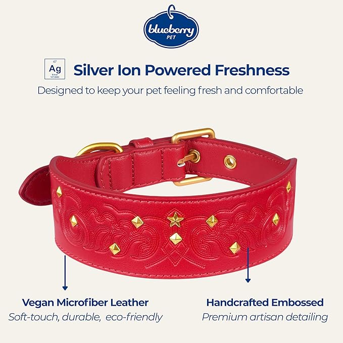 Blueberry Pet Premium Embossed Red Glam Silver-Powered Freshness Microfiber Leather Dog Collar with Gold Studs