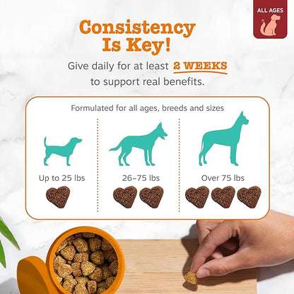 Zesty Paws Calming Chews for Dogs - for Everyday Stress, Relaxation, Composure, and Separation Bison 90 Count
