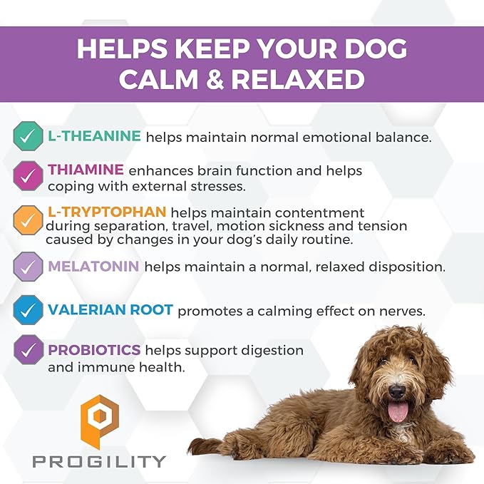 Nootie Progility Dog Calming Supplement for Stressful Situations & Daily Support – Supports Calm Behavior & Emotional Balance with Melatonin, Soft Calming Chews (90 Count)